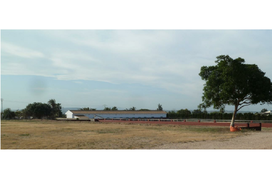 Perceel in San Miguel de Salinas