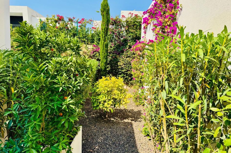 Villa in Castillo de Montemar