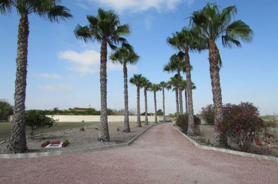 Finca in Dolores