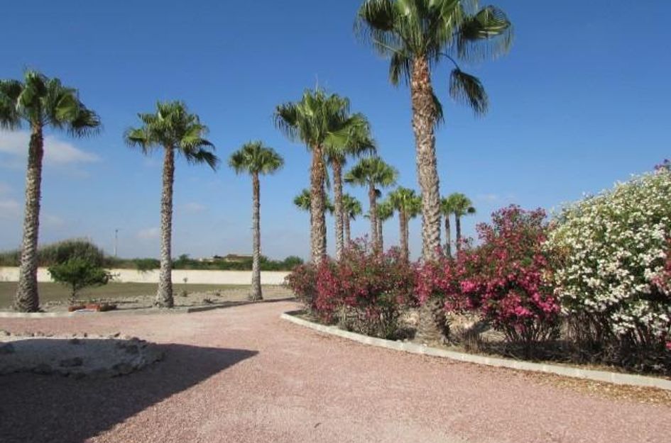 Finca in Dolores