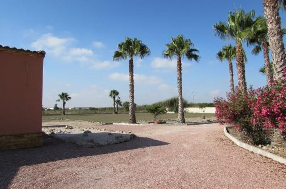 Finca in Dolores