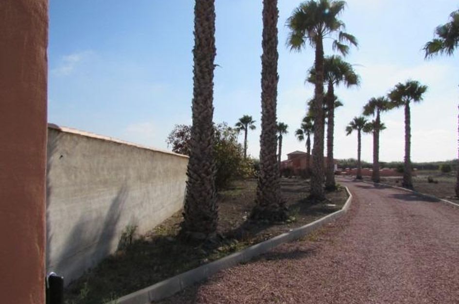 Finca in Dolores