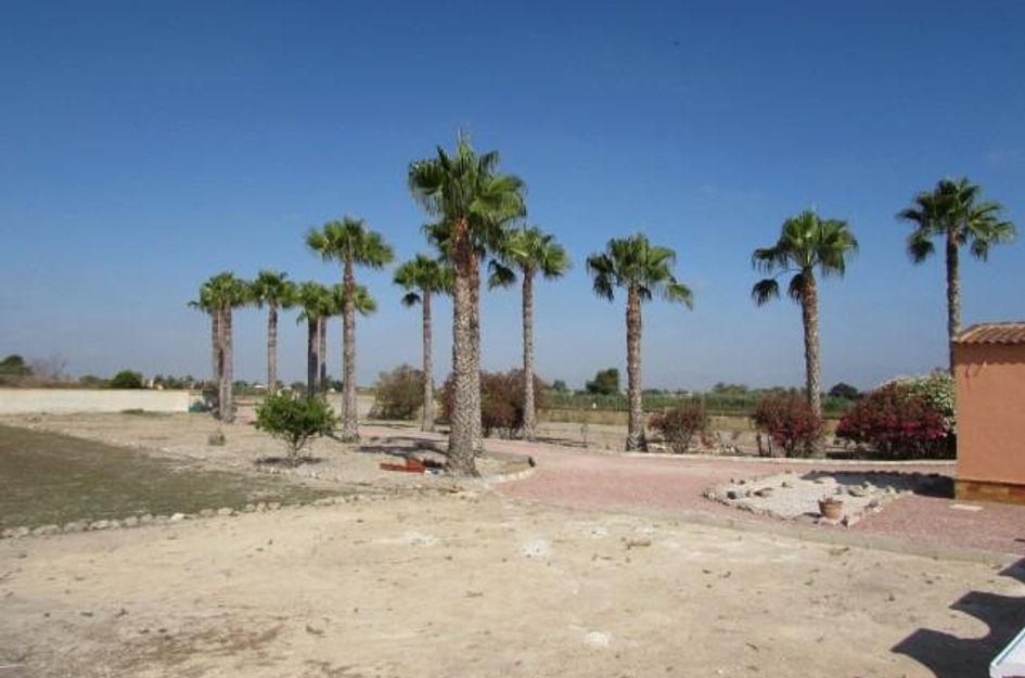 Finca in Dolores
