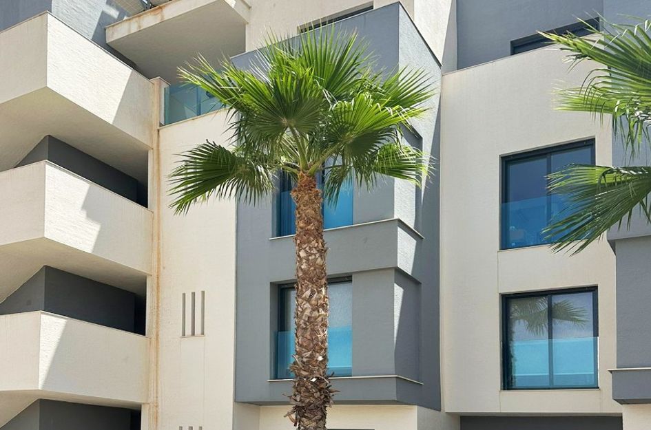 Appartement in Guardamar del Segura