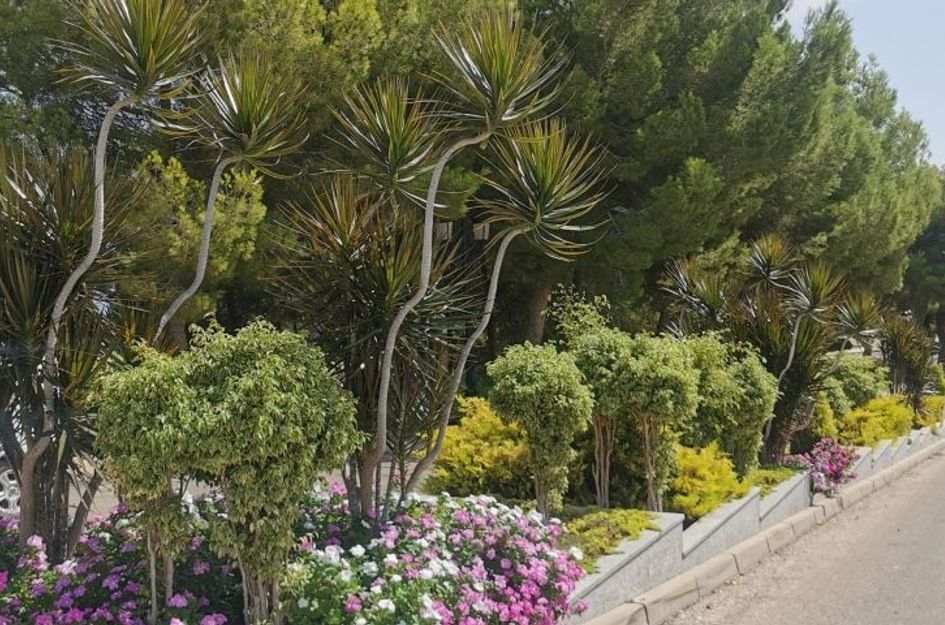 Appartement in La Florida