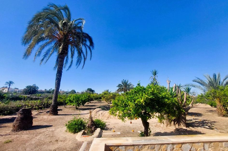 Finca in La Marina del Pinet