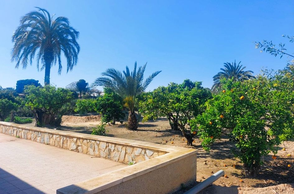 Finca in La Marina del Pinet