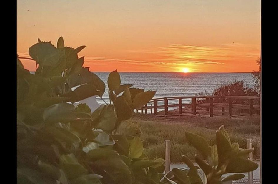 Bungalow in Torrevieja