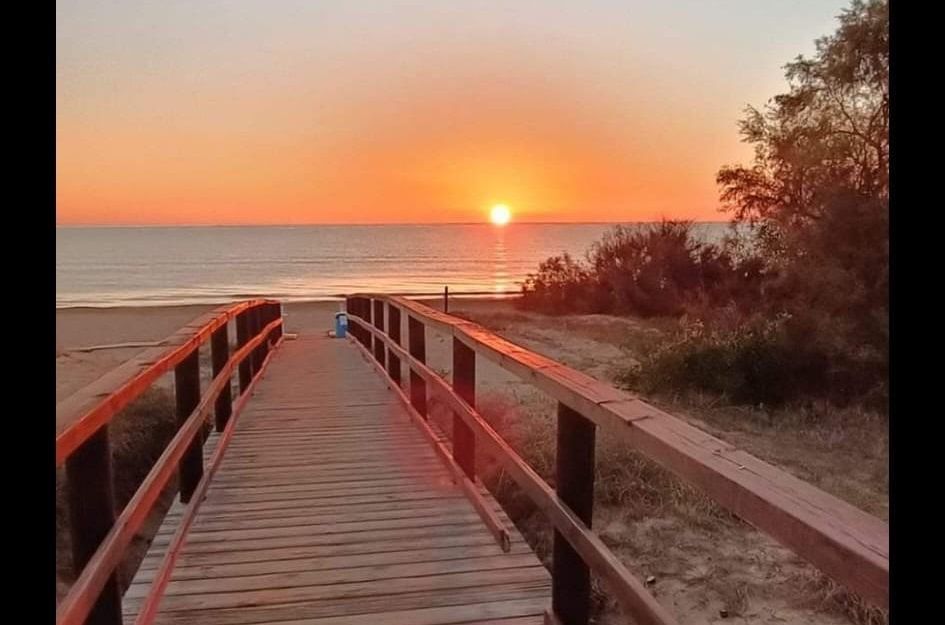 Bungalow in Torrevieja