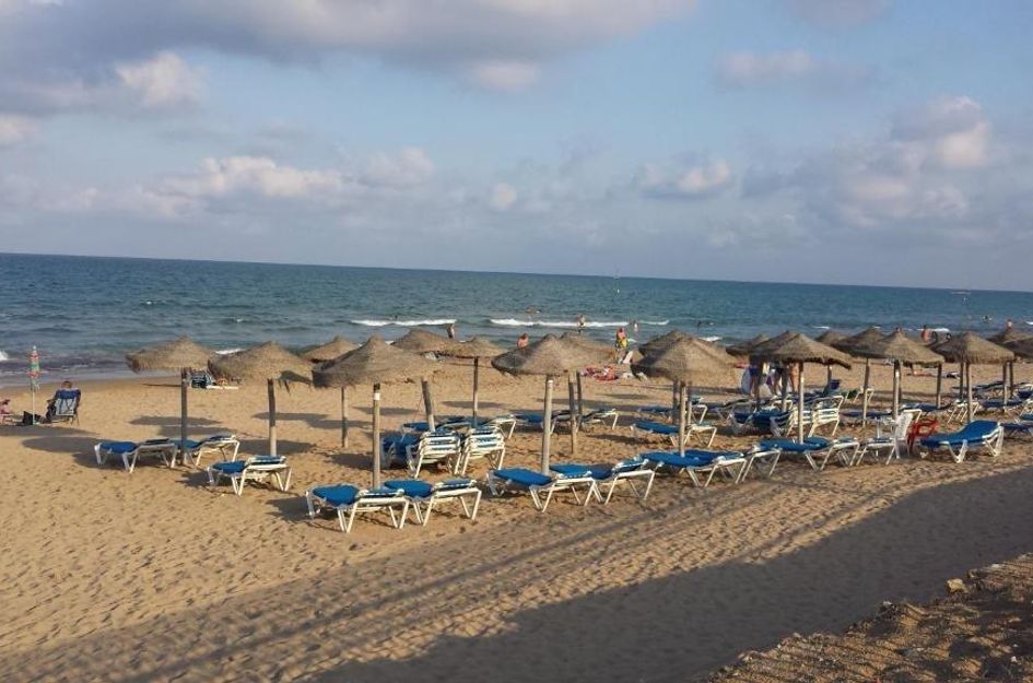 Bungalow in Torrevieja