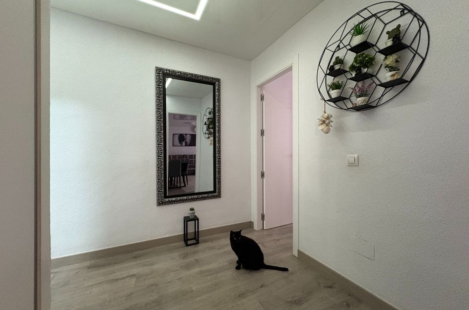 Appartement in Torrevieja