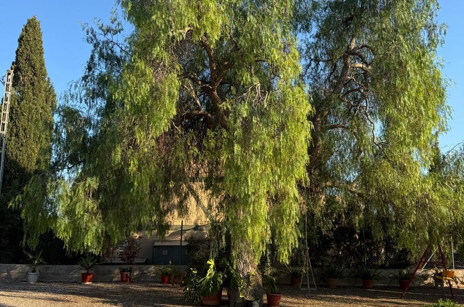 Villa in Barranc de Sant Gaietà