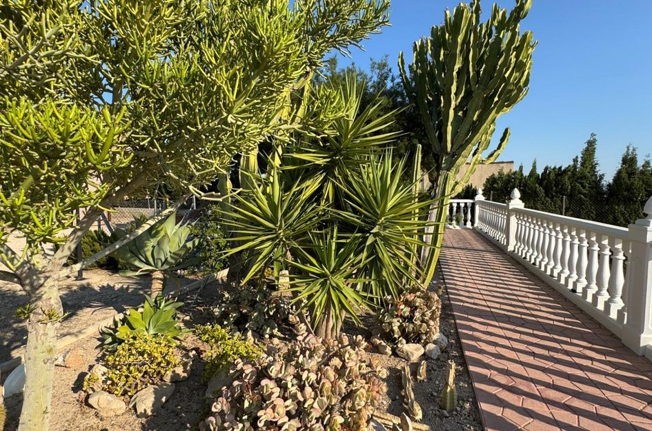 Villa in Barranc de Sant Gaietà