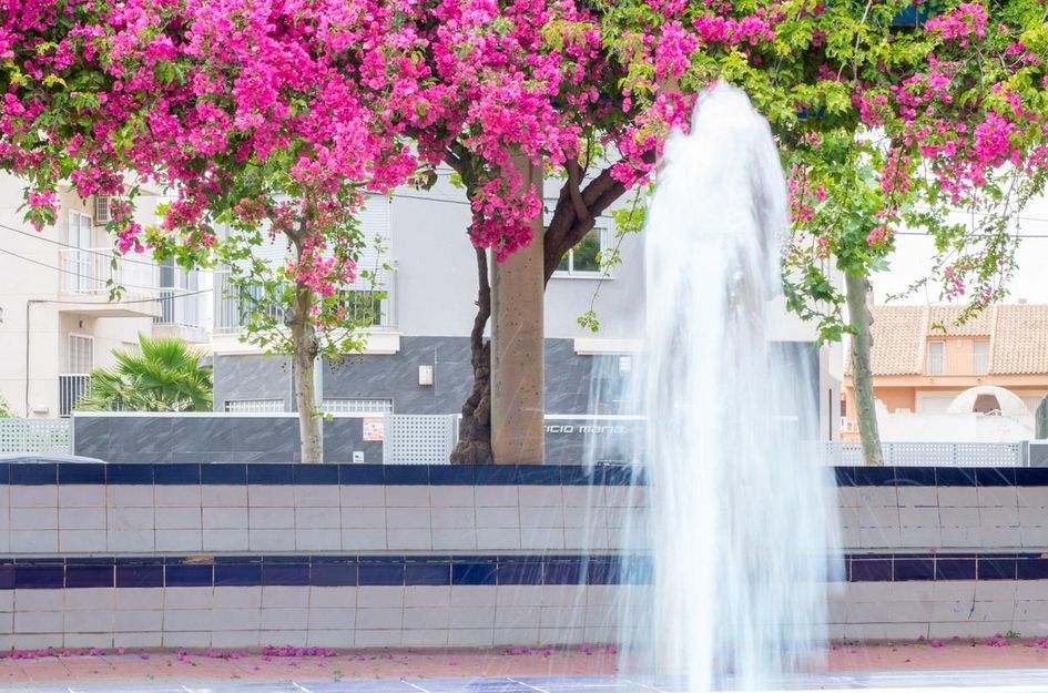 Appartement in Torrevieja