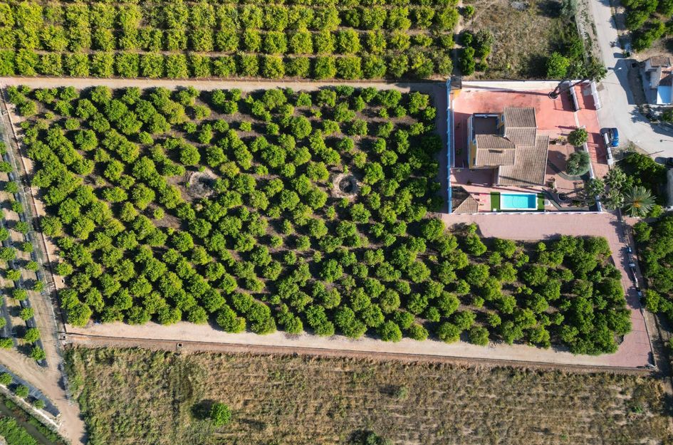 Huis in Orihuela