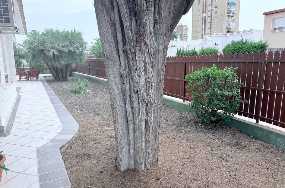 Villa in Dehesa de Campoamor