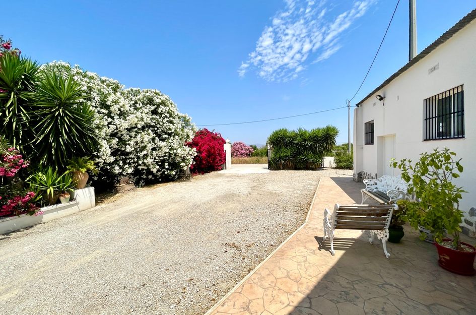 Villa in Daya Nueva
