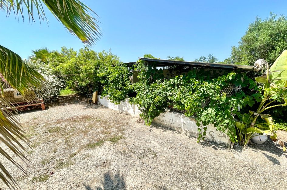 Villa in Daya Nueva
