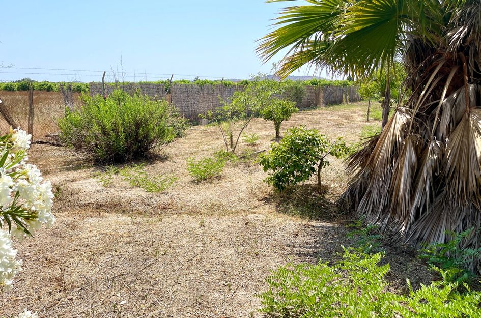 Villa in Daya Nueva