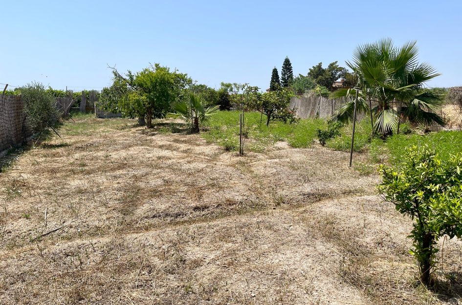 Villa in Daya Nueva