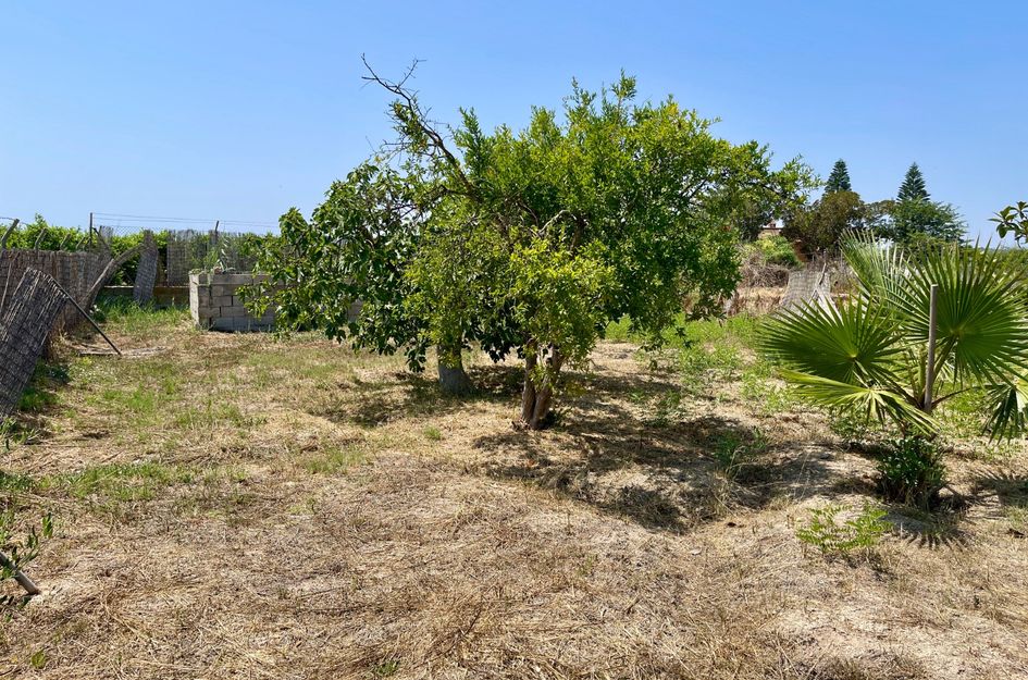 Villa in Daya Nueva