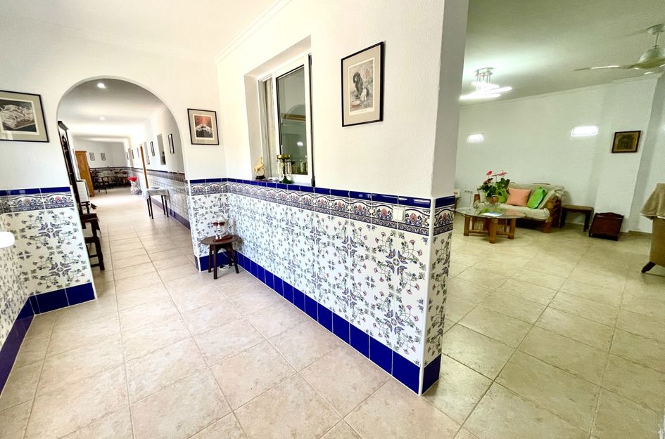 Villa in Daya Nueva