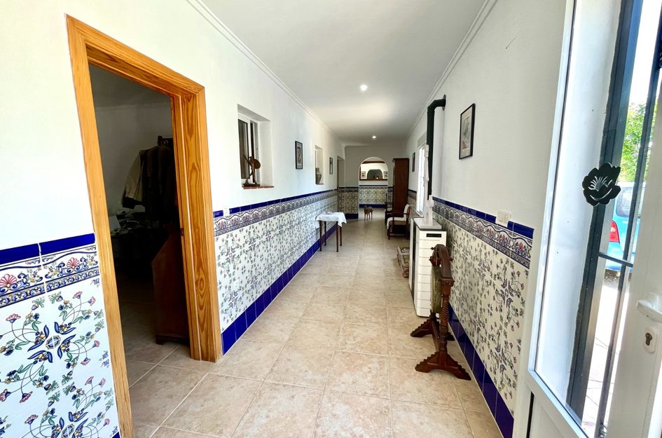 Villa in Daya Nueva