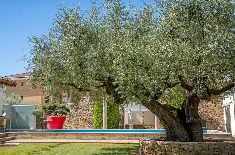 Villa in Alcoi
