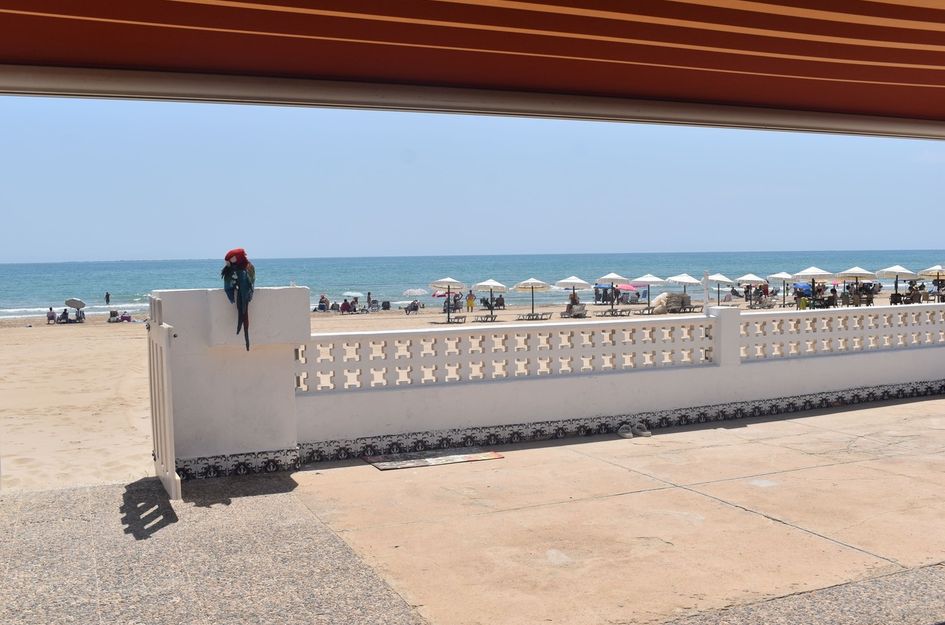 Villa in Guardamar del Segura