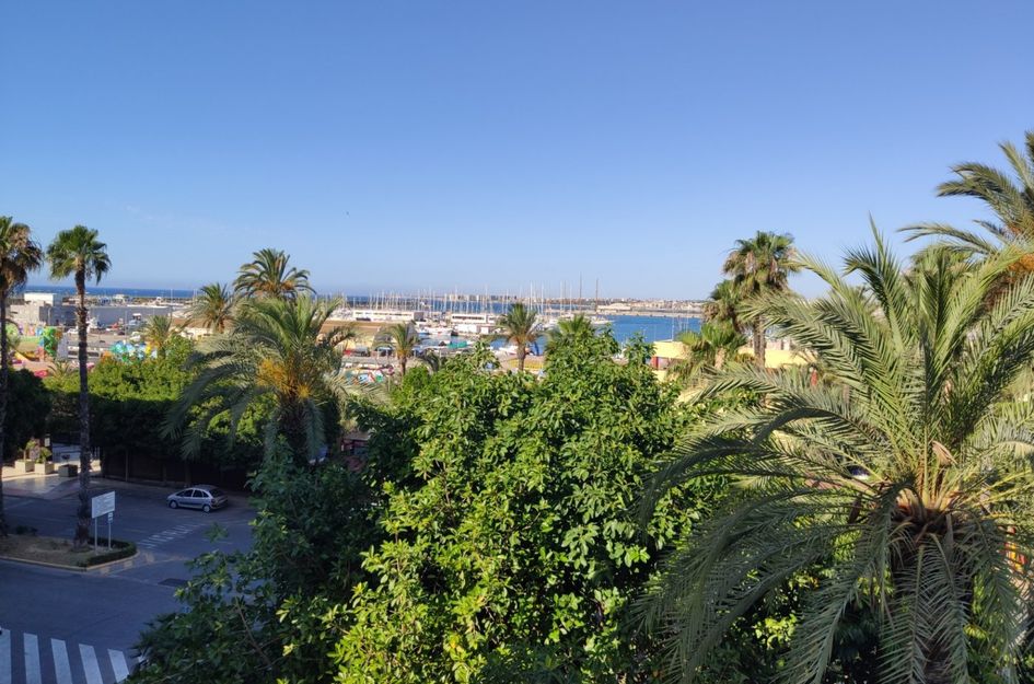 Appartement in Torrevieja