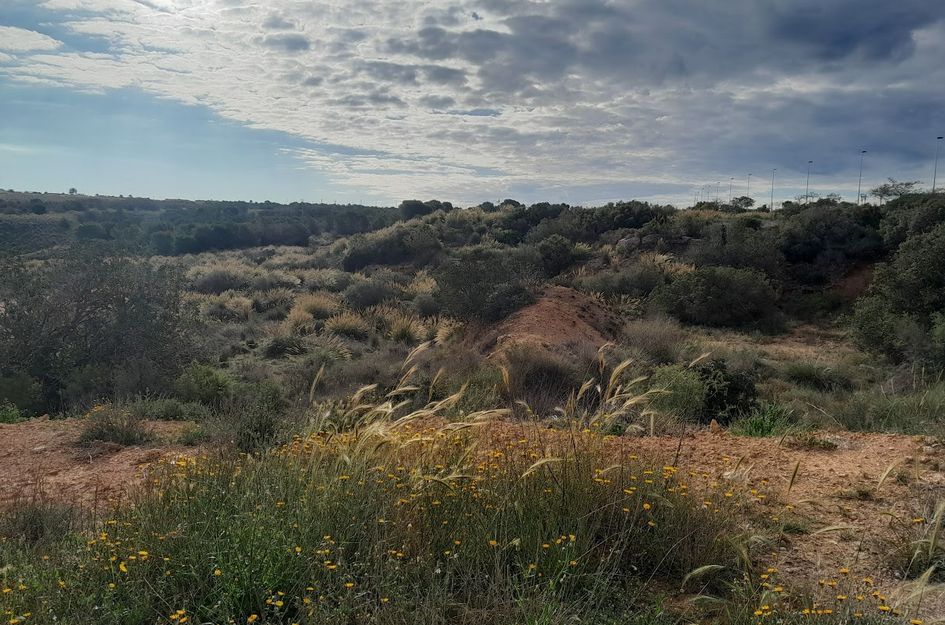 Villa in Gran Alacant