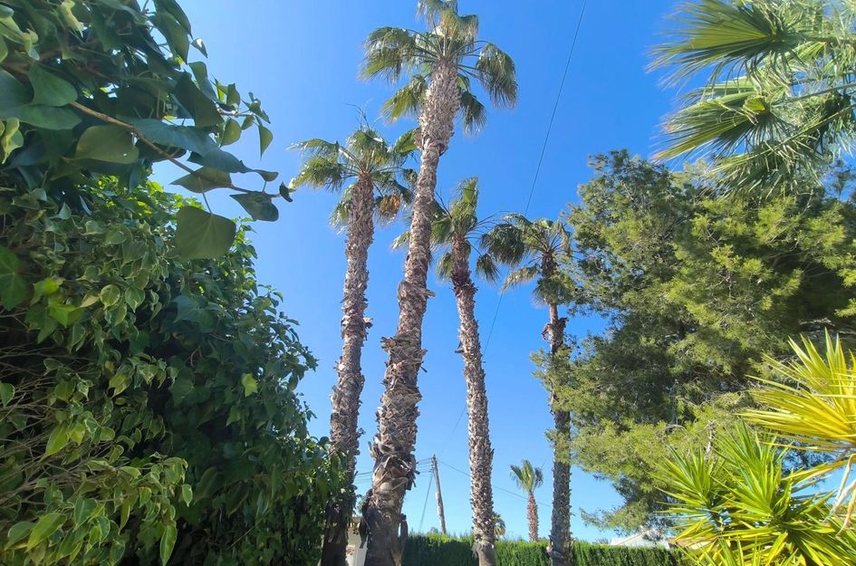 Villa in El Chaparral