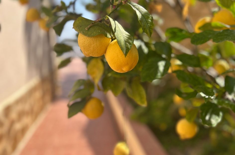 Villa in Castillo de Montemar