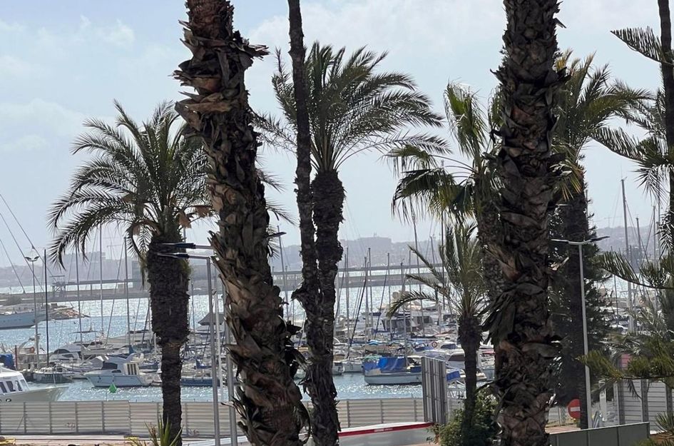 Appartement in Torrevieja