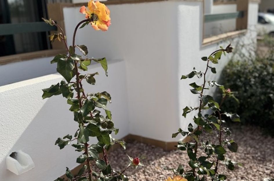 Appartement in La Florida