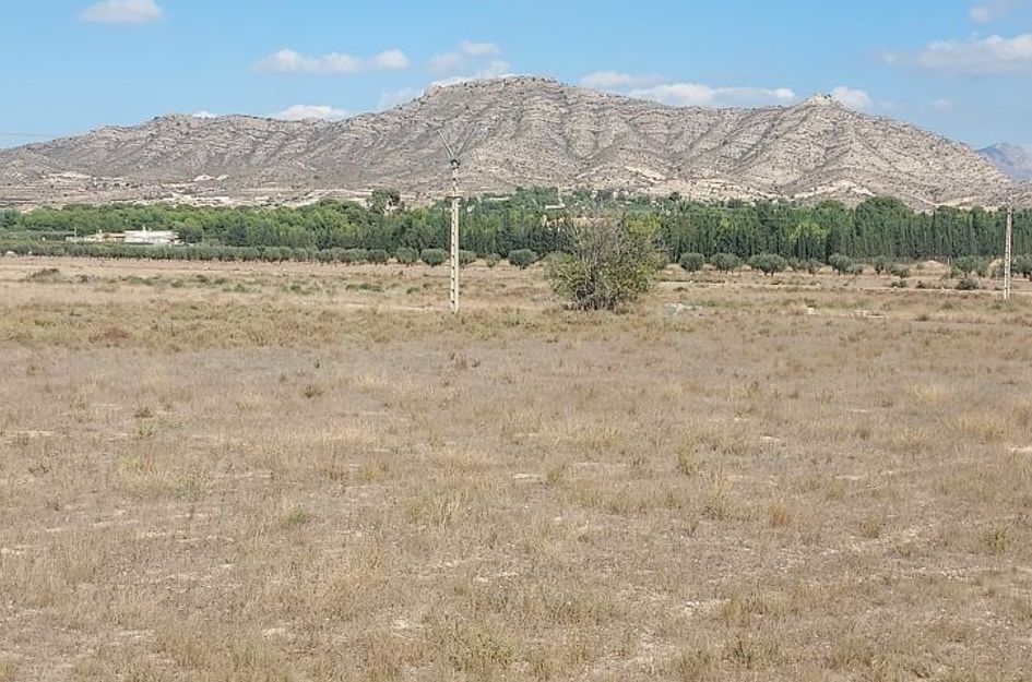 Perceel in El Fondó de les Neus
