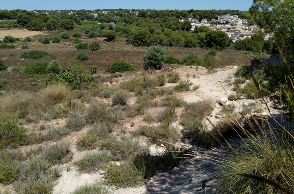 Perceel in Pilar de la Horadada