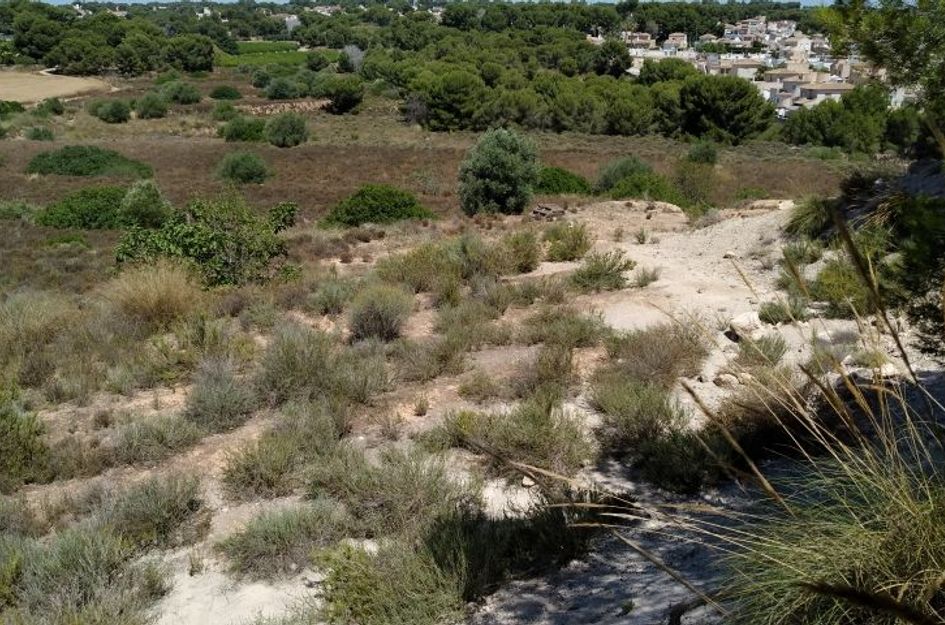 Perceel in Pilar de la Horadada