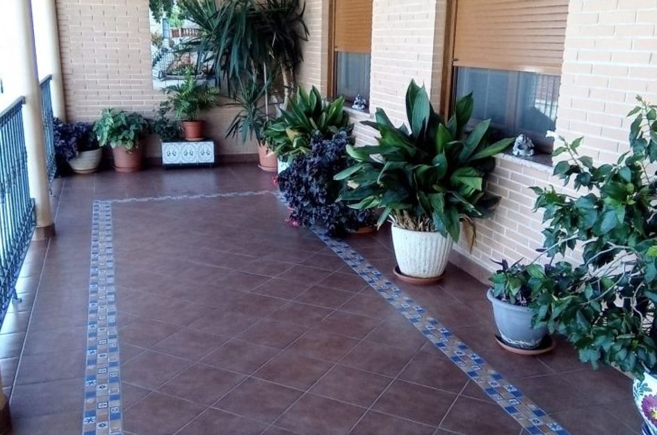 Villa in Torre de la Horadada