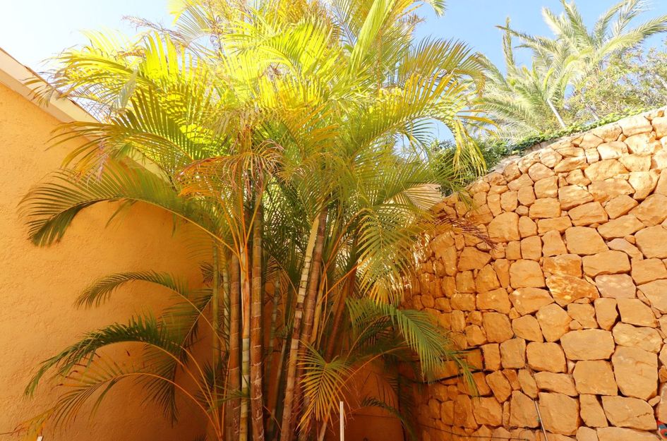 Villa in Altea Hills