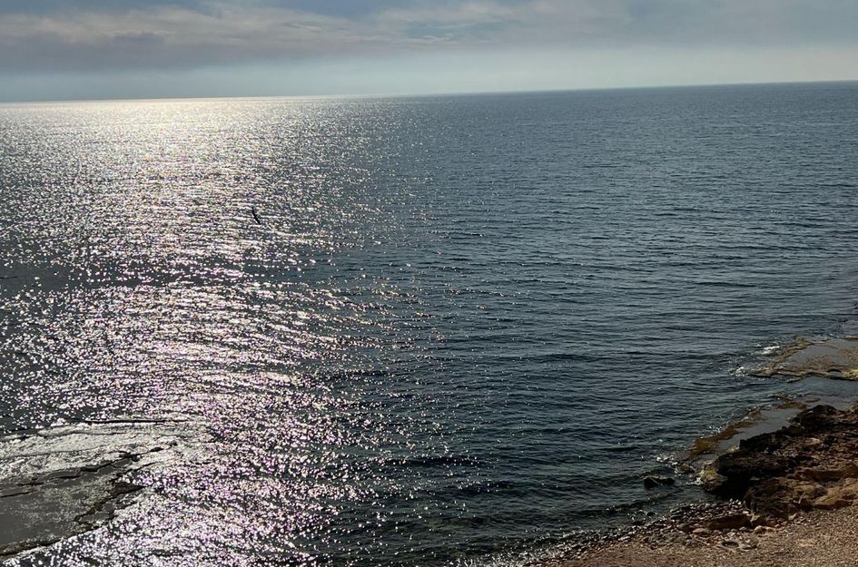 Appartement in Torrevieja