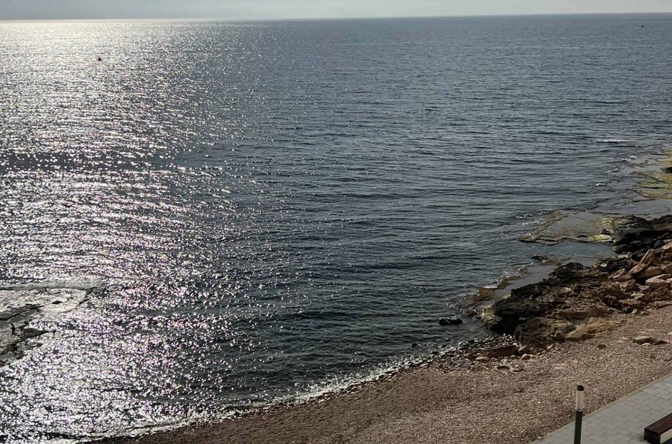 Appartement in Torrevieja