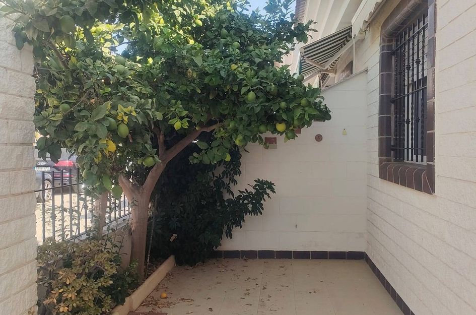 Huis in Torre de la Horadada