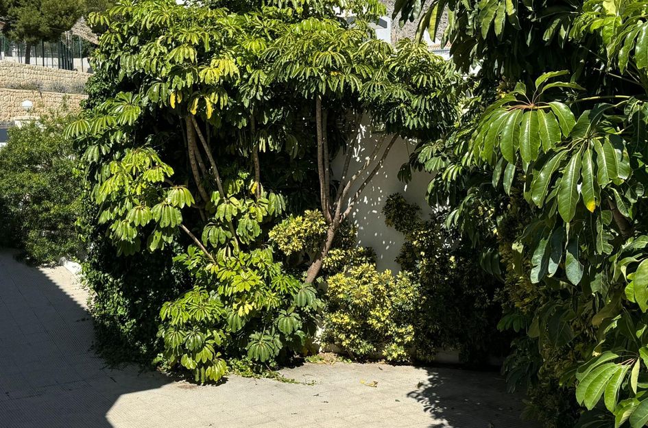 Villa in Altea Hills