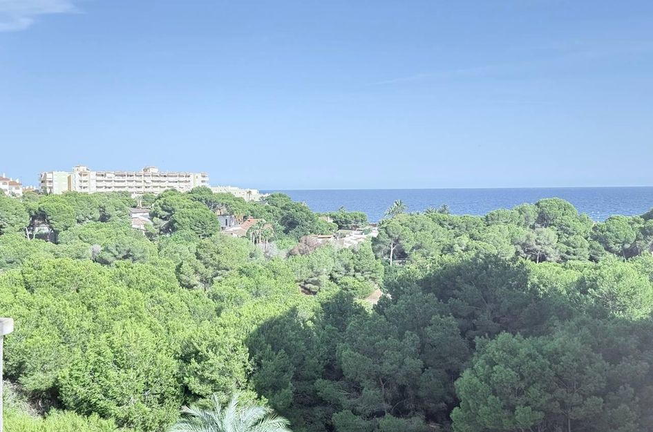 Appartement in La Florida