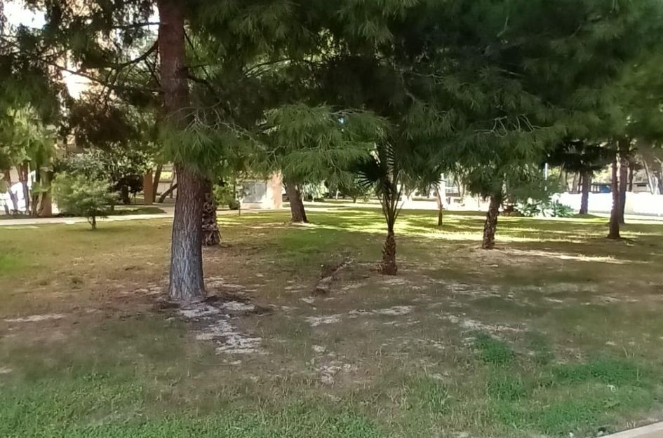 Appartement in La Florida