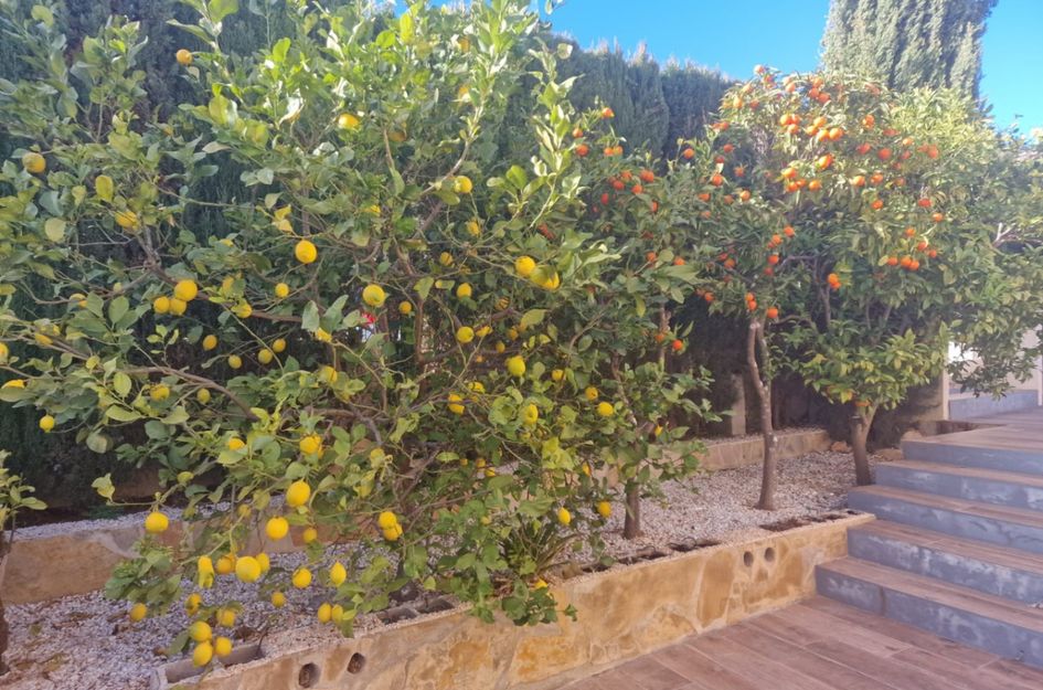 Villa in Cumbre del Sol