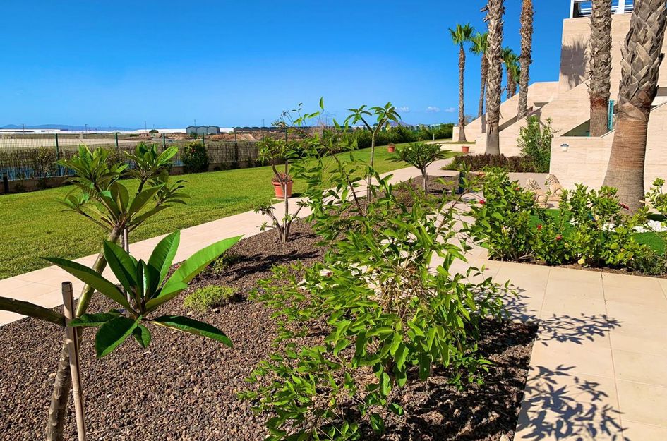 Penthouse in Torre de la Horadada