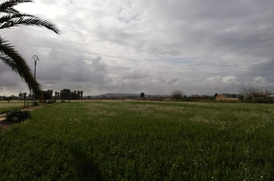 Finca in Callosa de Segura