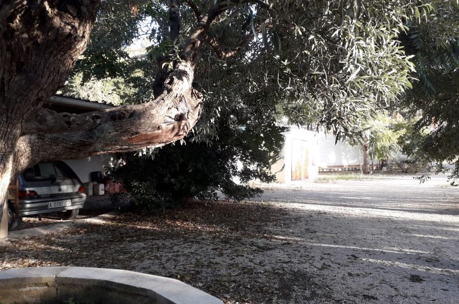 Finca in Torremanzanas / La Torre de les Maçanes